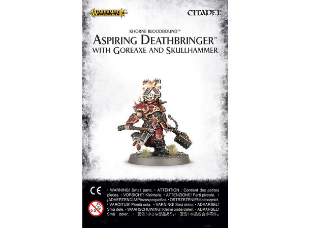 Aspiring Deathbringer Goreaxe/Skullhamme Warhammer Age of Sigmar